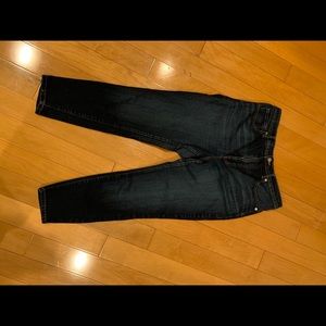 Everlane Authentic stretch High Rise Skinny Jeans